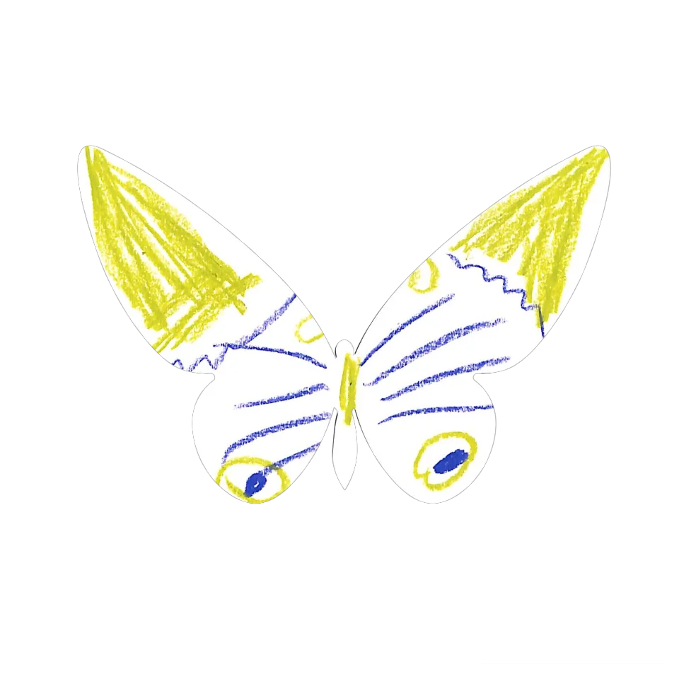 Original Butterfly Image