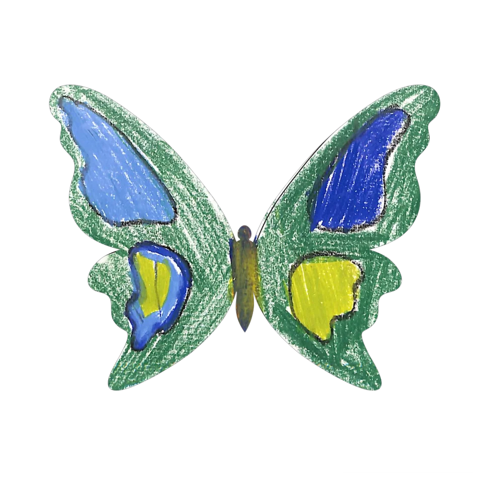 Original Butterfly Image
