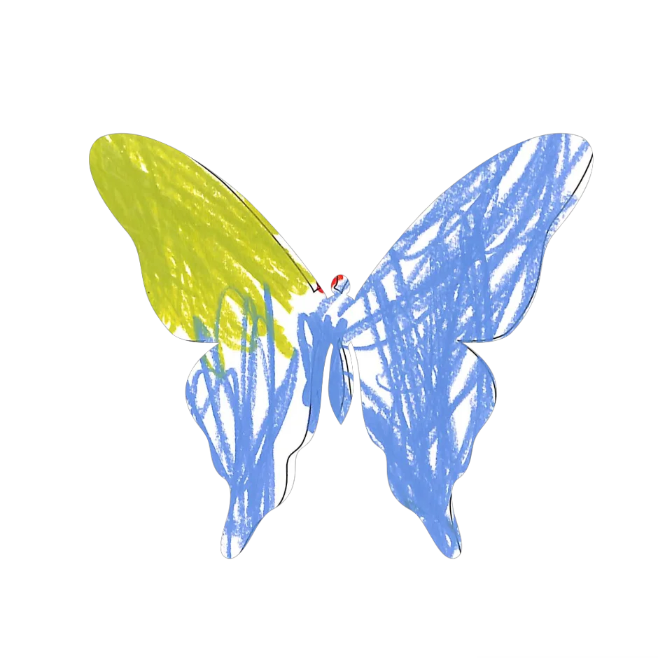 Original Butterfly Image