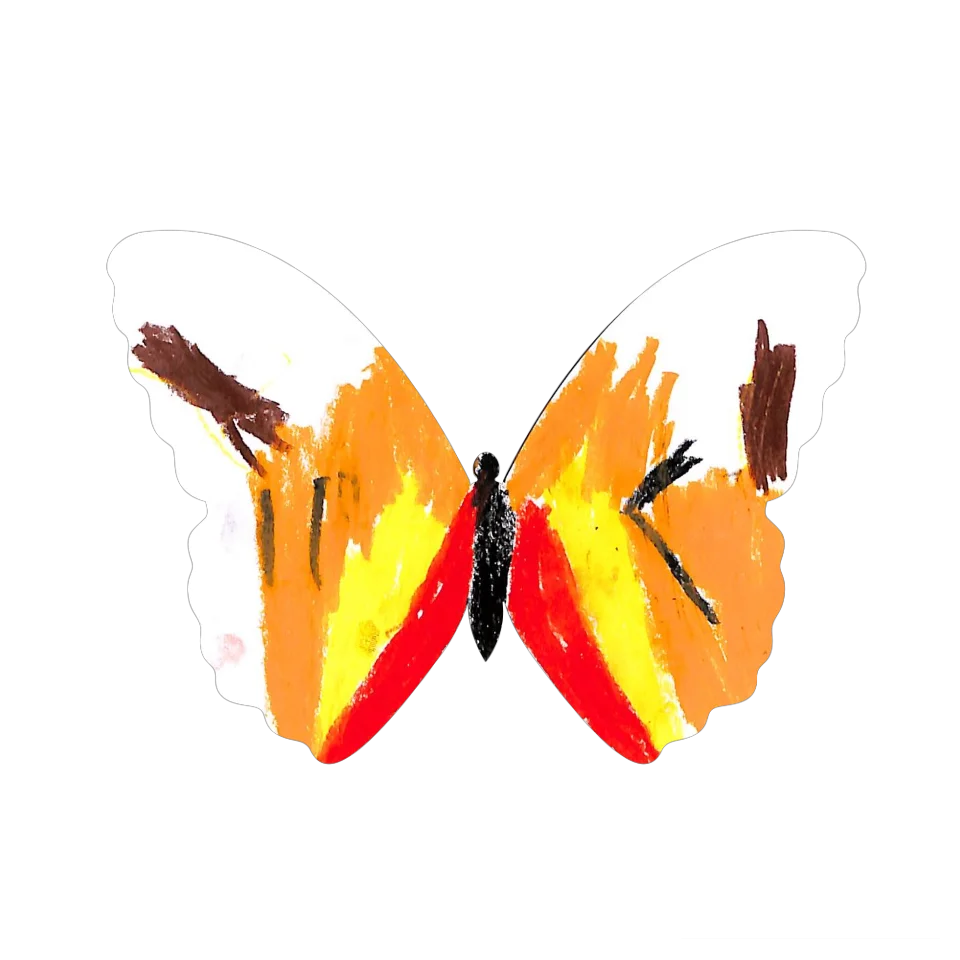 Original Butterfly Image