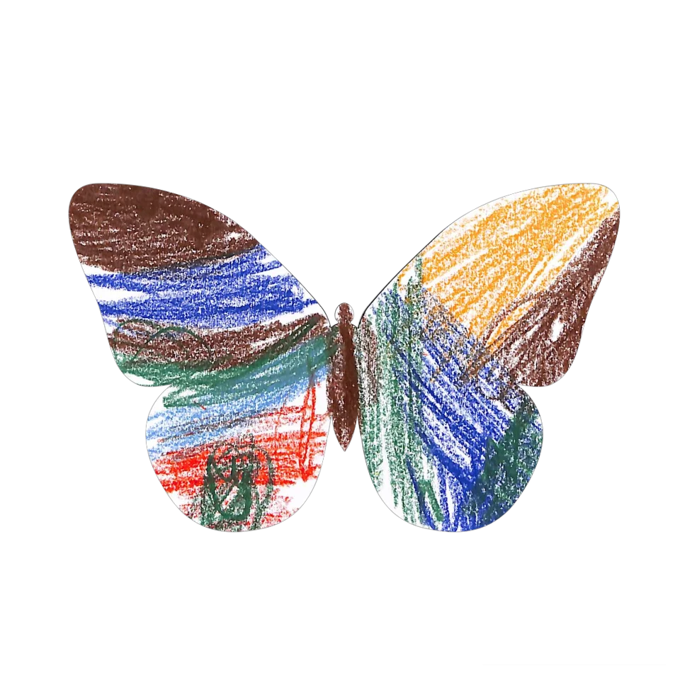 Original Butterfly Image