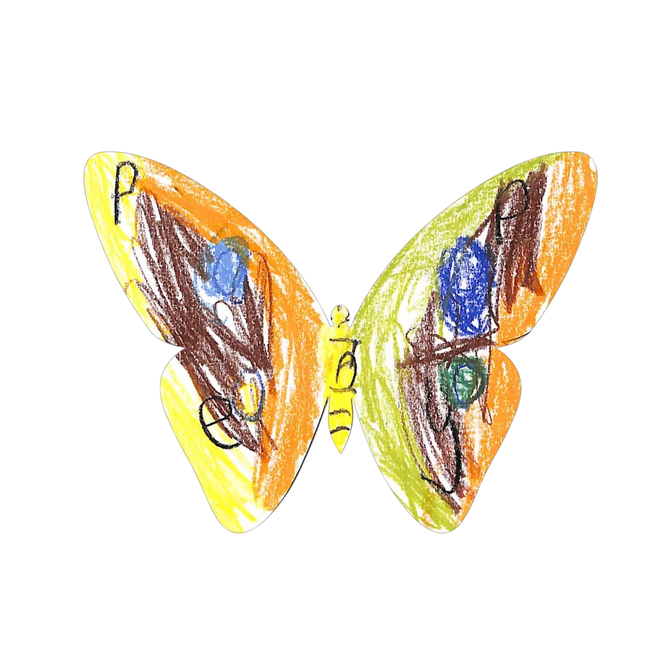 Original Butterfly Image