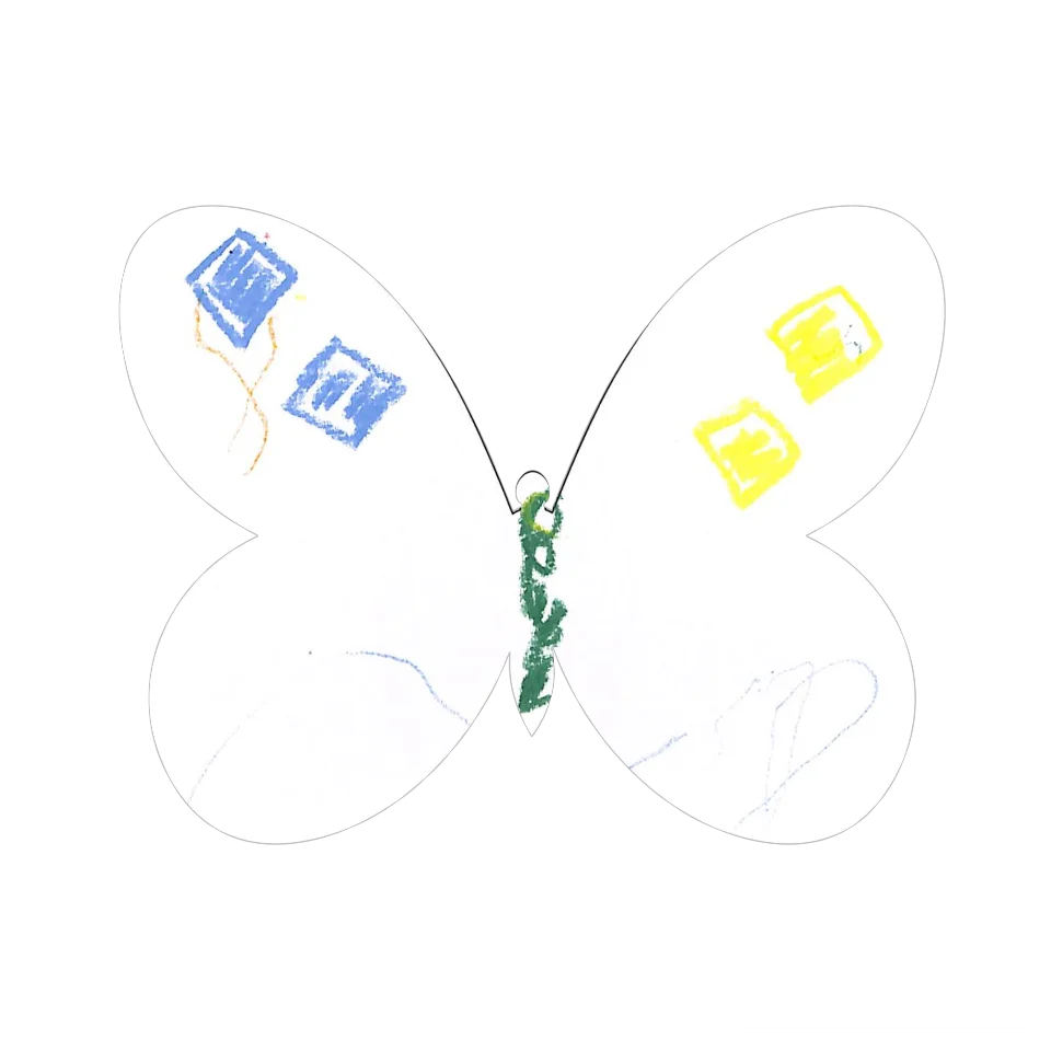 Original Butterfly Image