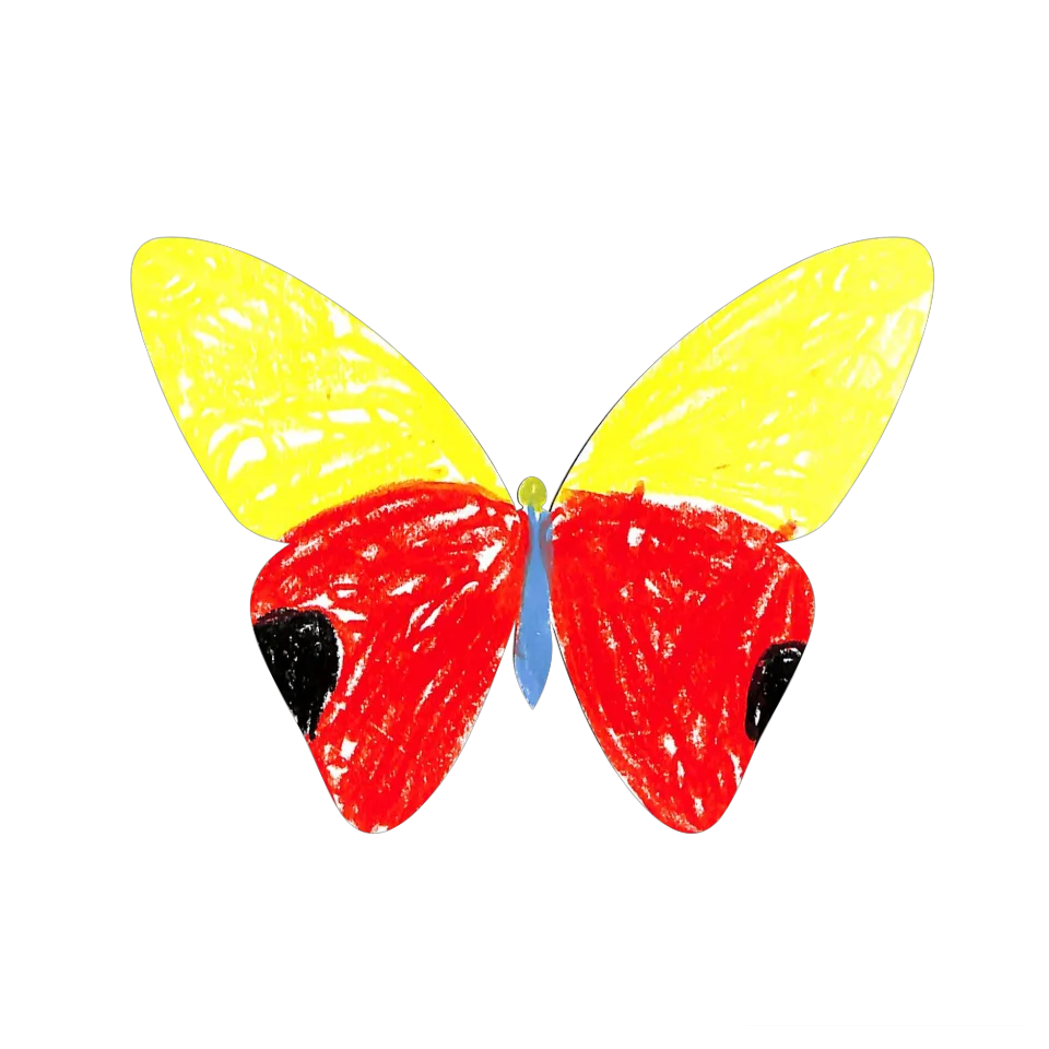 Original Butterfly Image