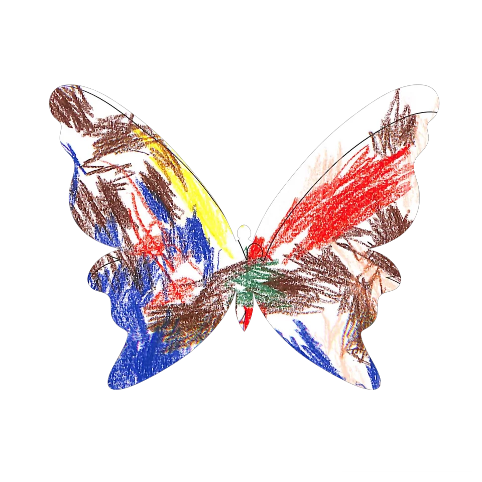 Original Butterfly Image