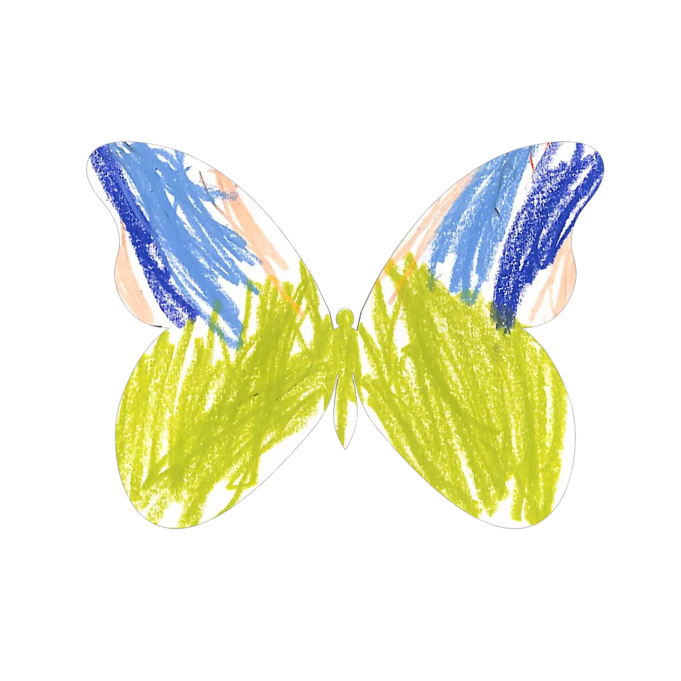 Original Butterfly Image
