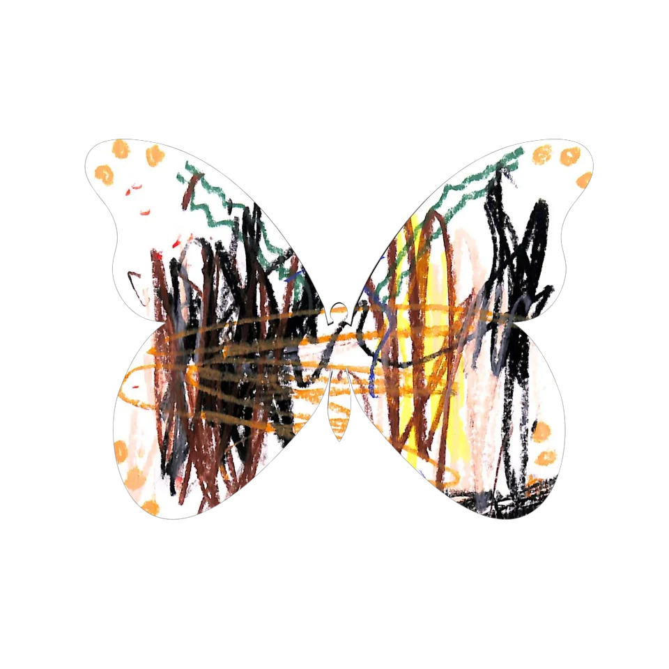 Original Butterfly Image
