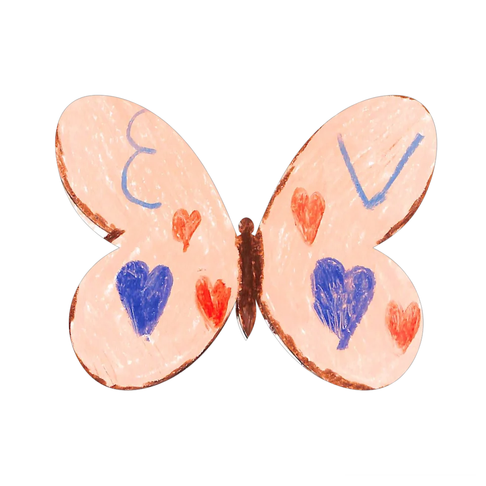 Original Butterfly Image