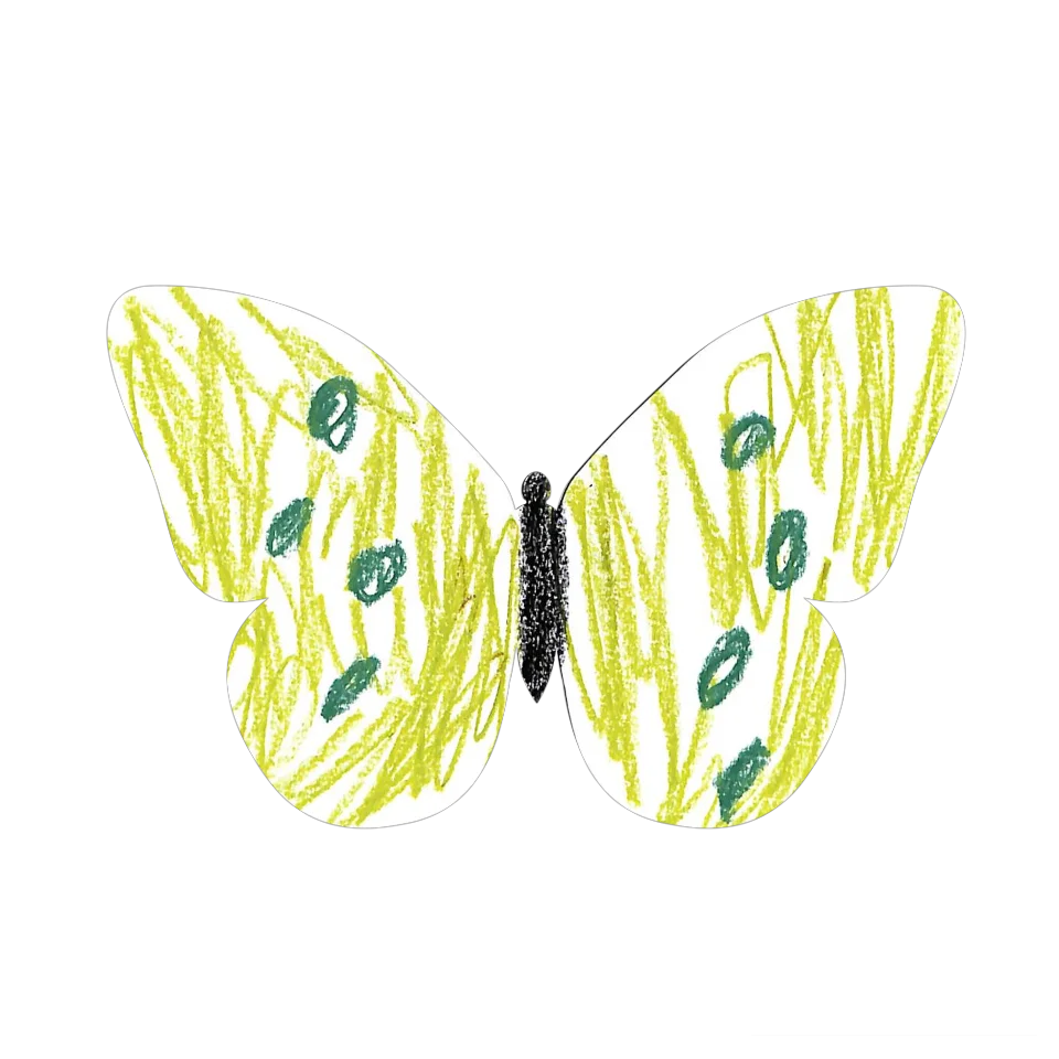 Original Butterfly Image