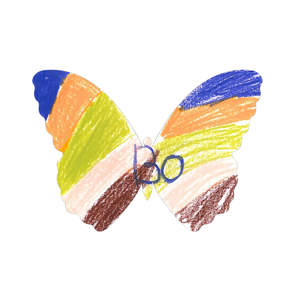 Original Butterfly Image