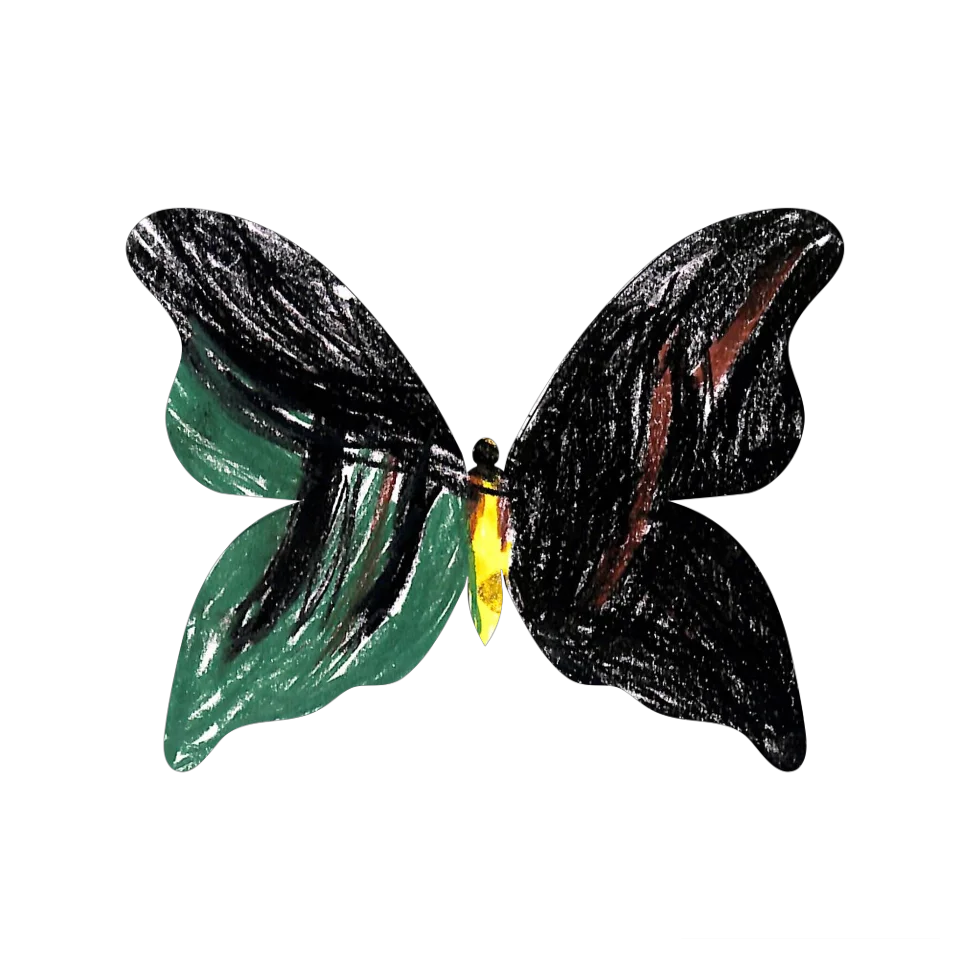 Original Butterfly Image