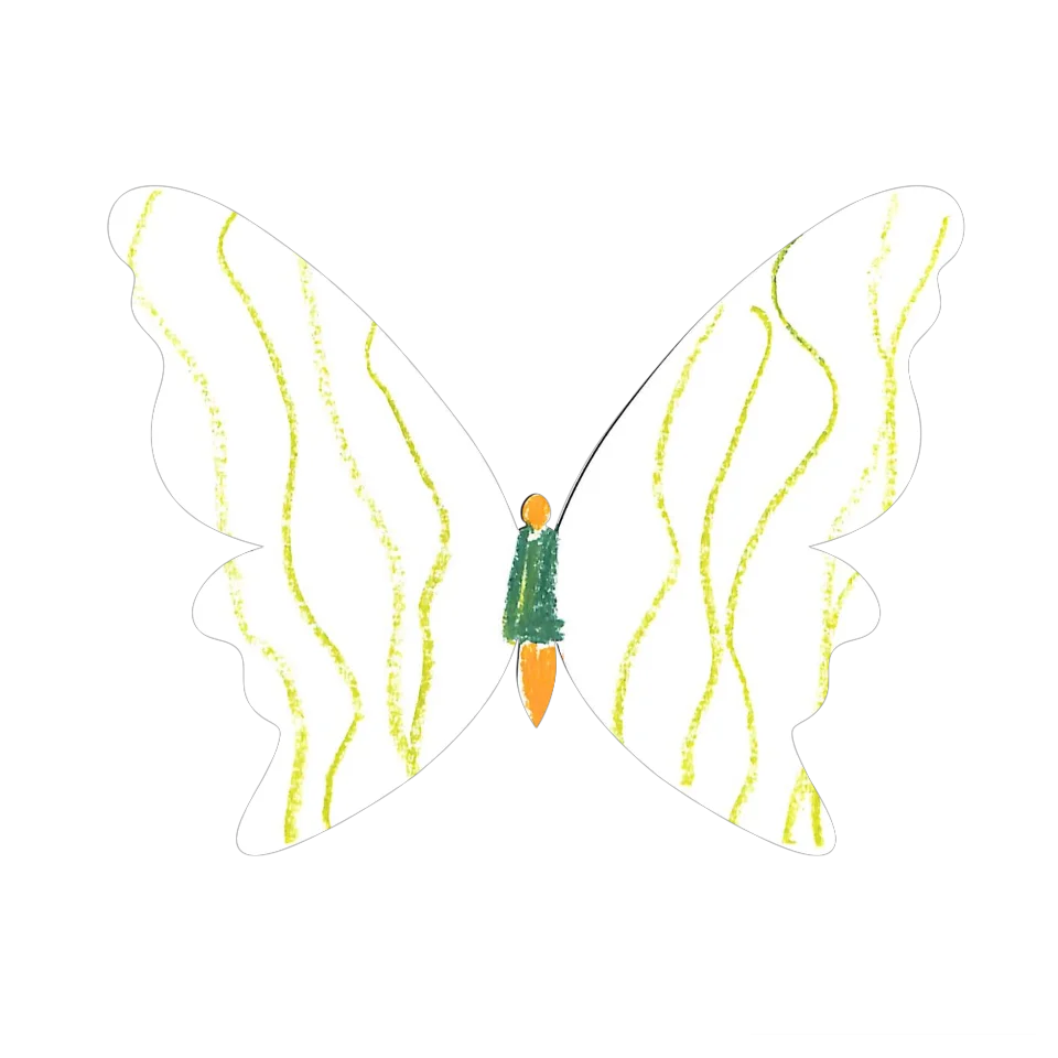 Original Butterfly Image
