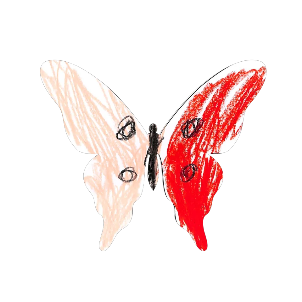 Original Butterfly Image