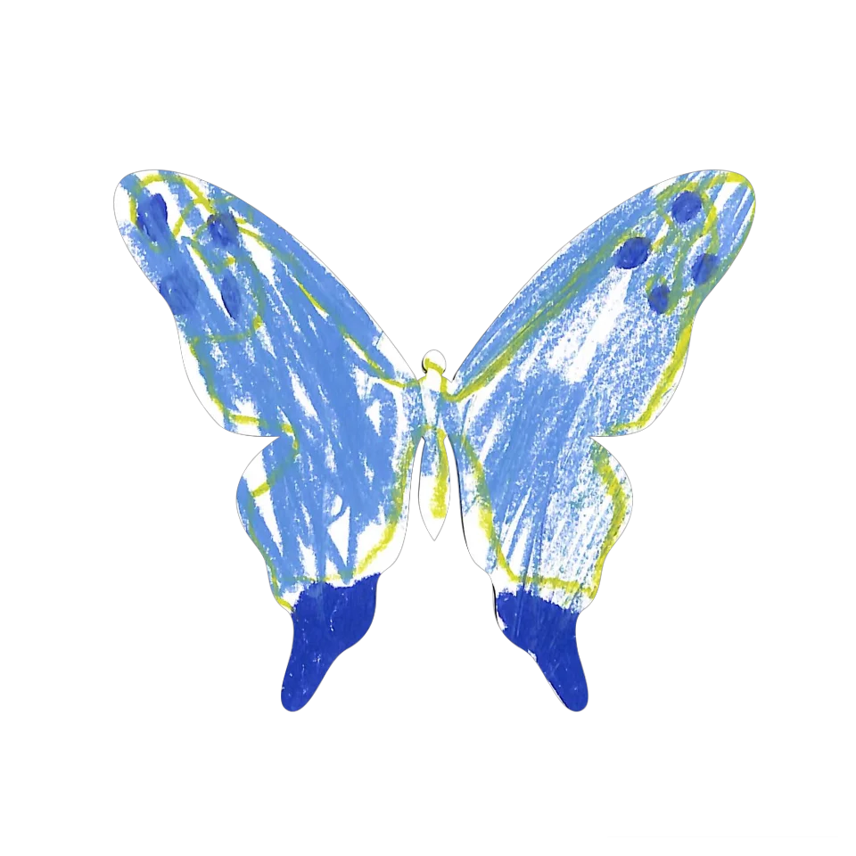 Original Butterfly Image