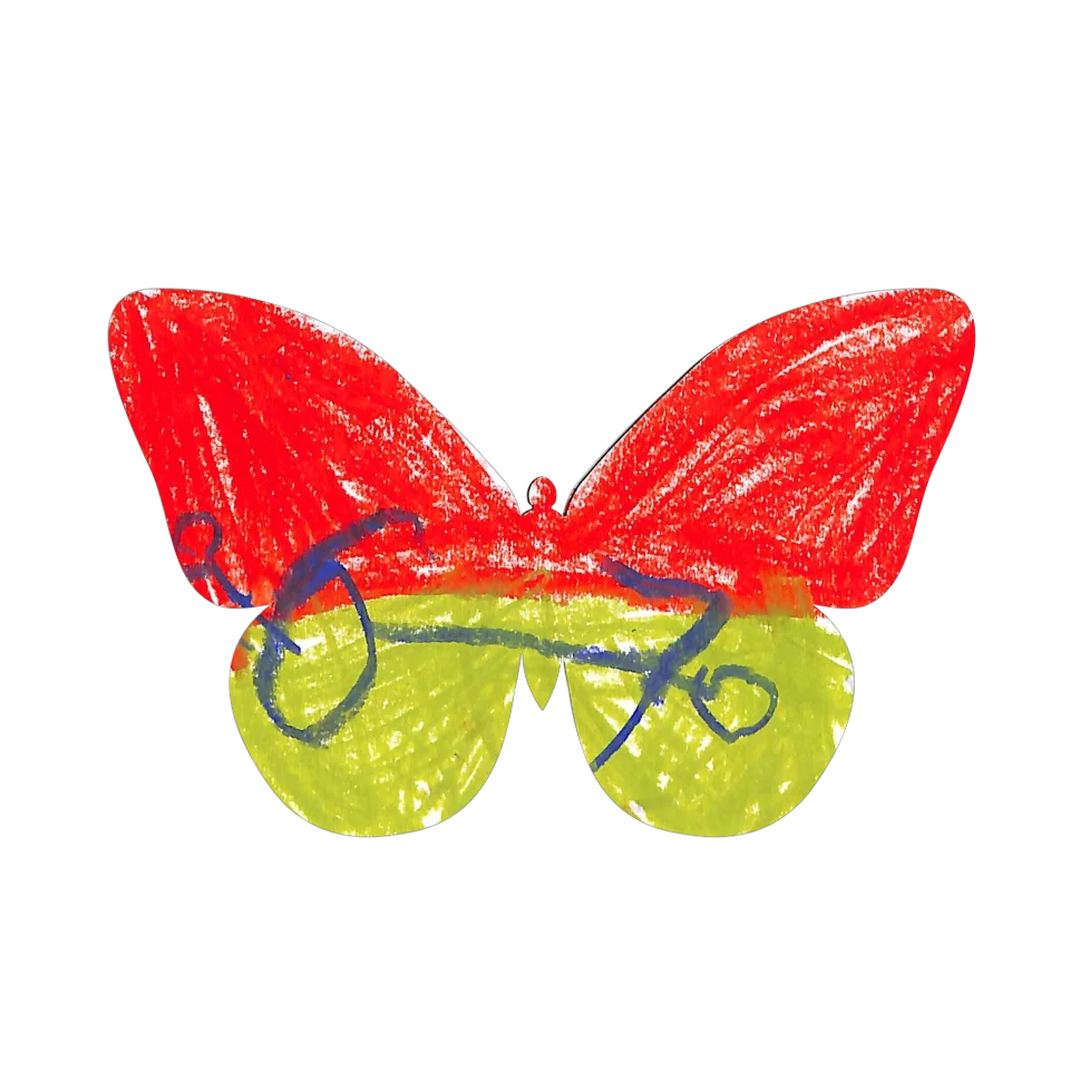 Original Butterfly Image