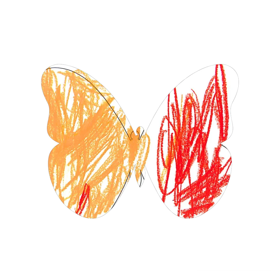 Original Butterfly Image