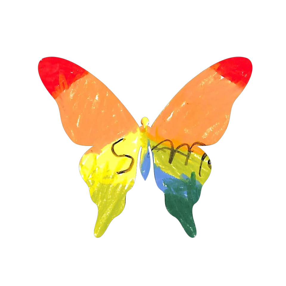 Original Butterfly Image