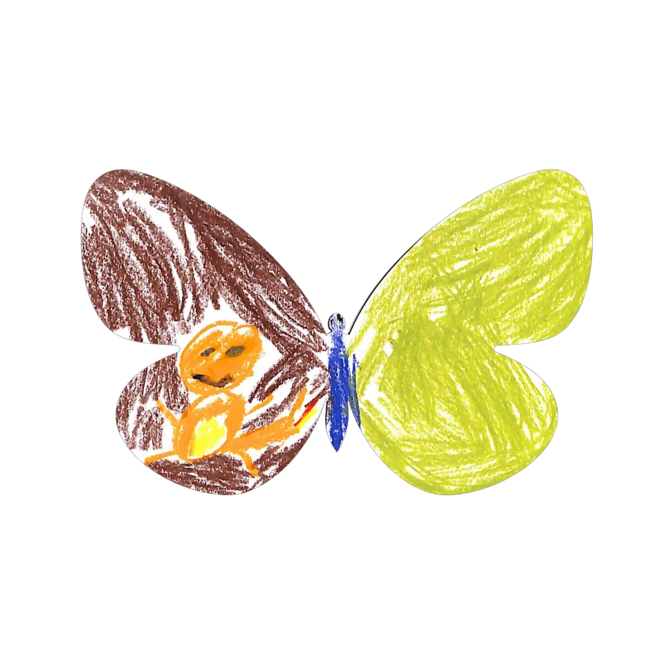 Original Butterfly Image