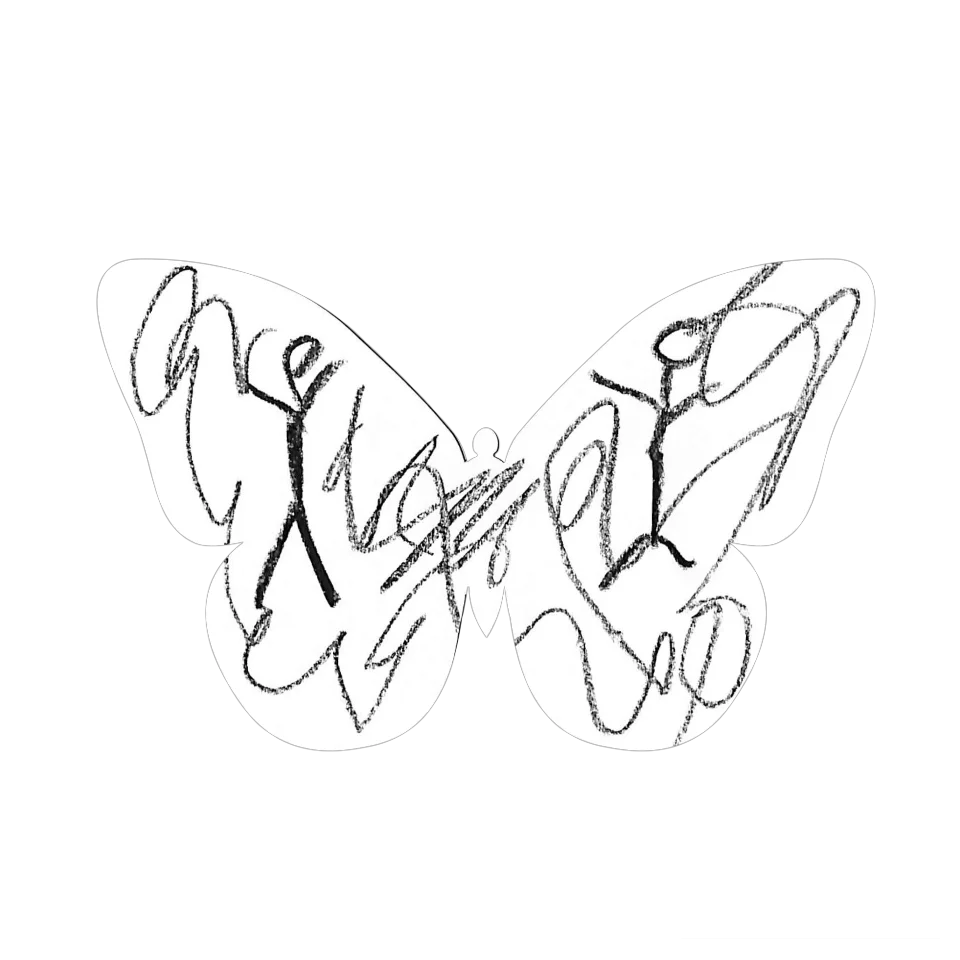 Original Butterfly Image