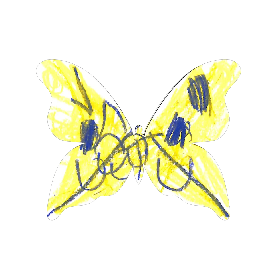 Original Butterfly Image