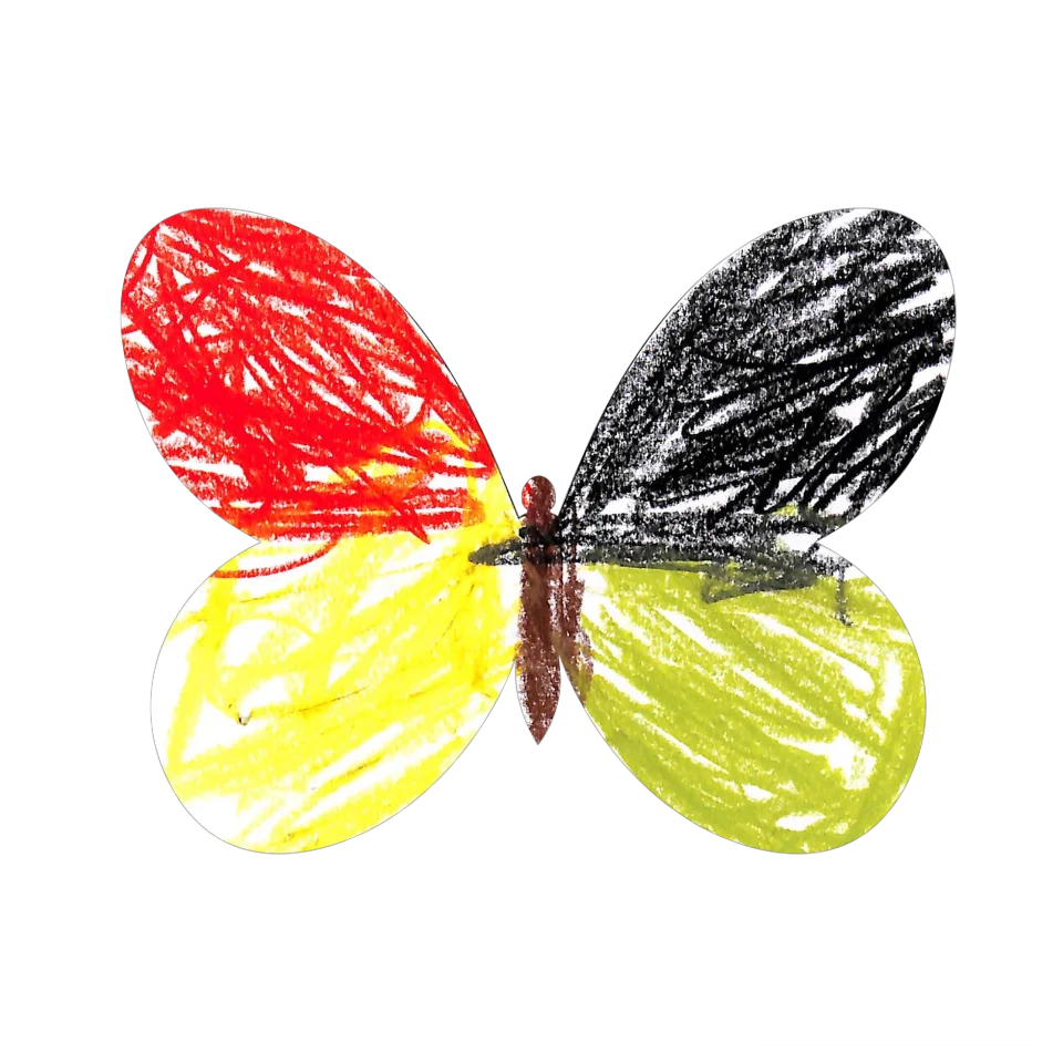 Original Butterfly Image
