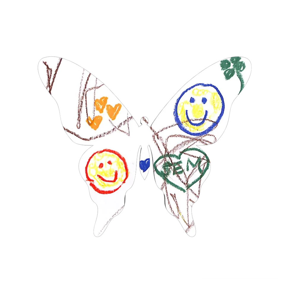 Original Butterfly Image