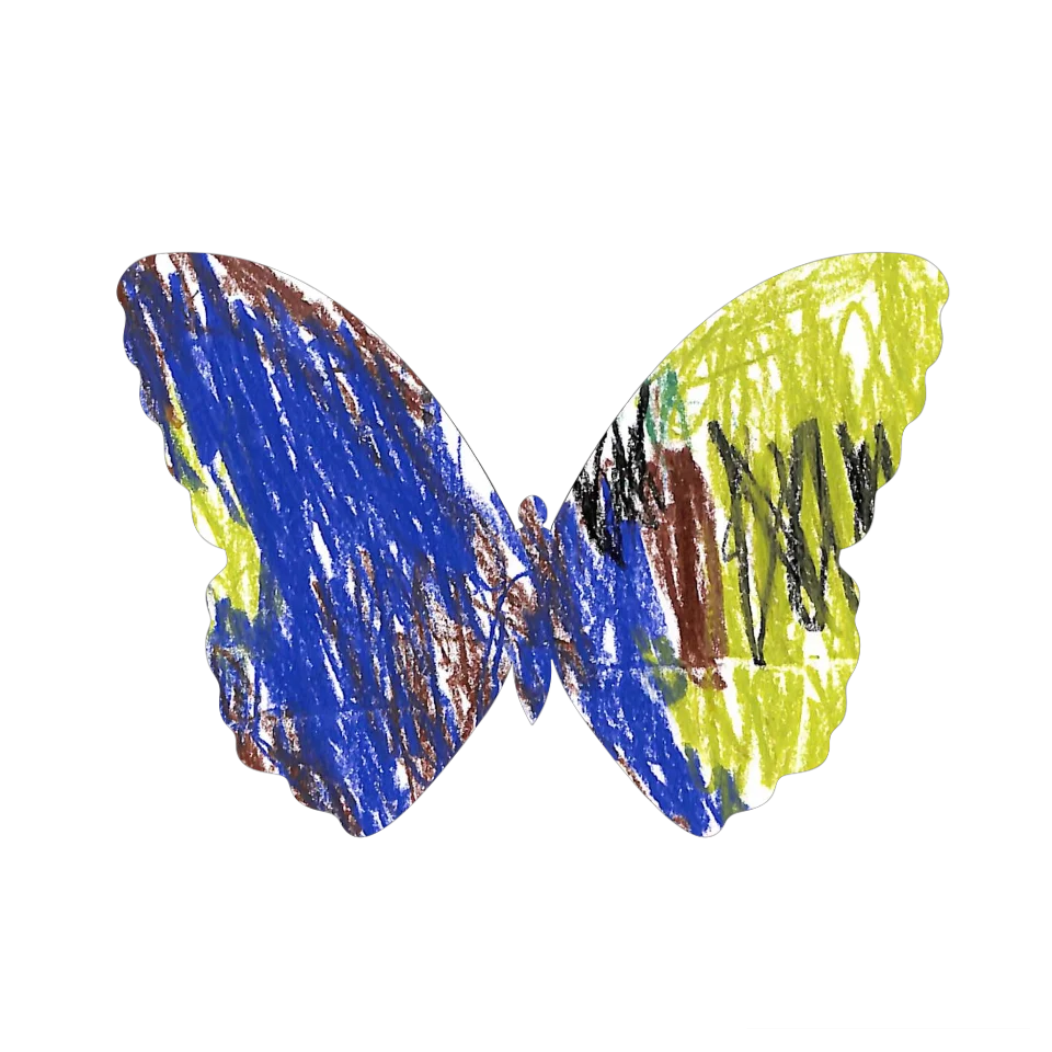 Original Butterfly Image