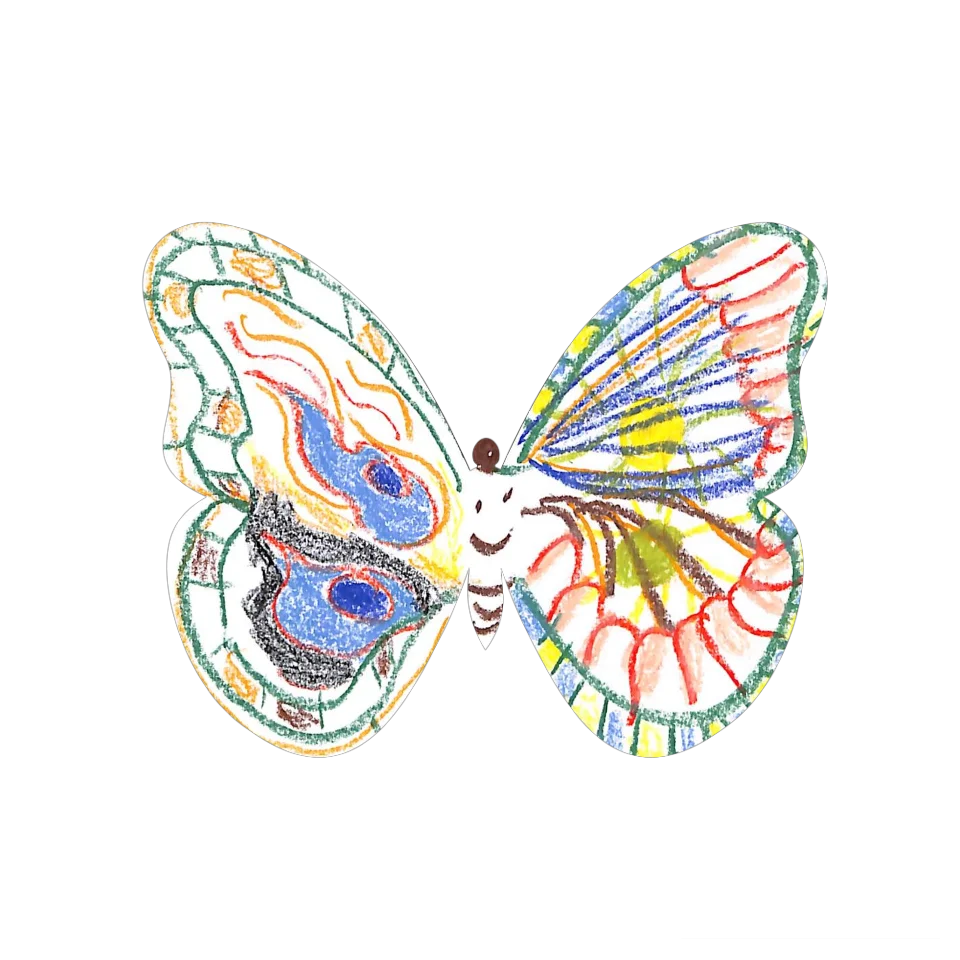 Original Butterfly Image