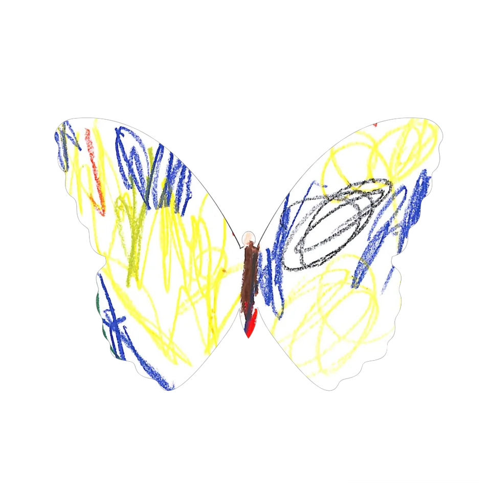 Original Butterfly Image