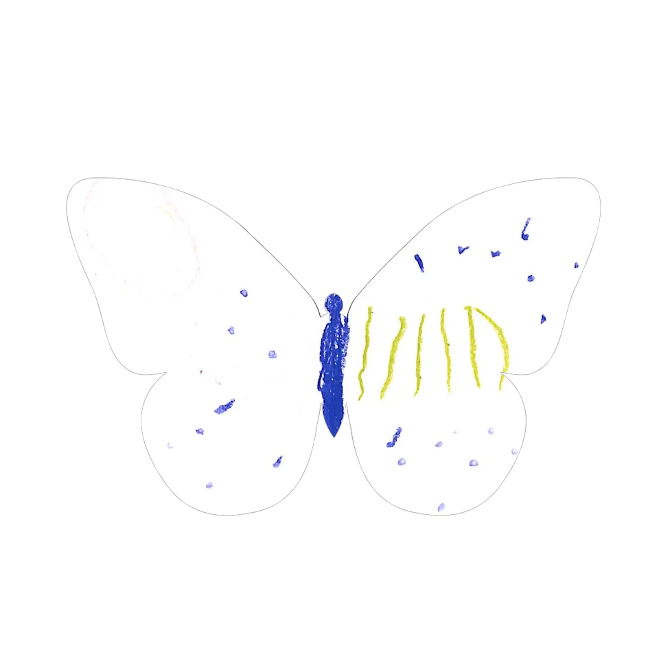 Original Butterfly Image