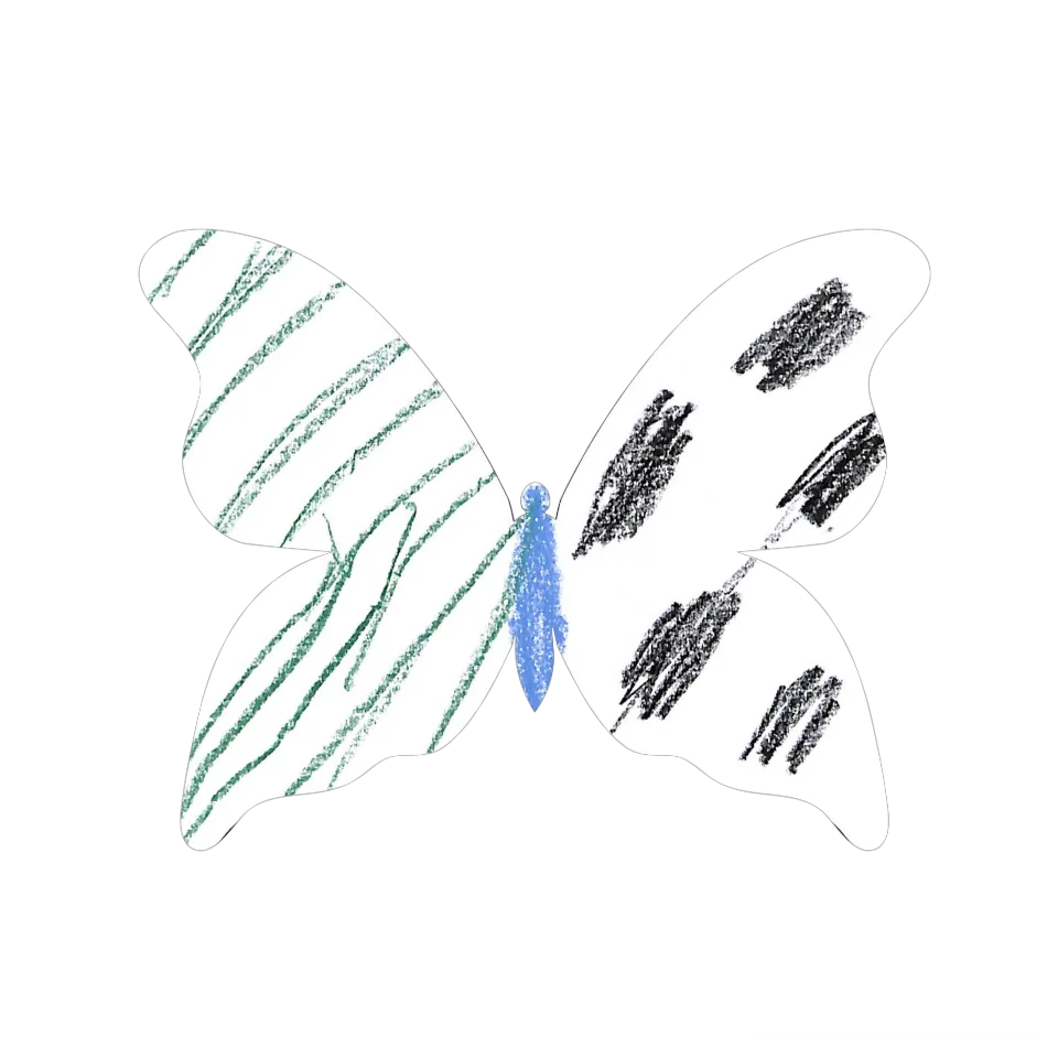 Original Butterfly Image