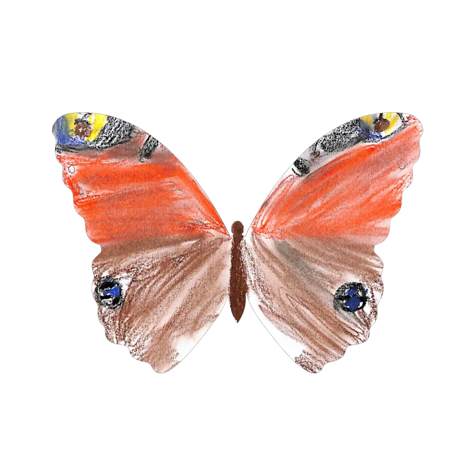 Original Butterfly Image