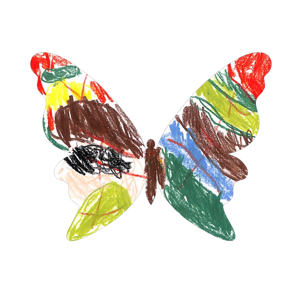 Original Butterfly Image