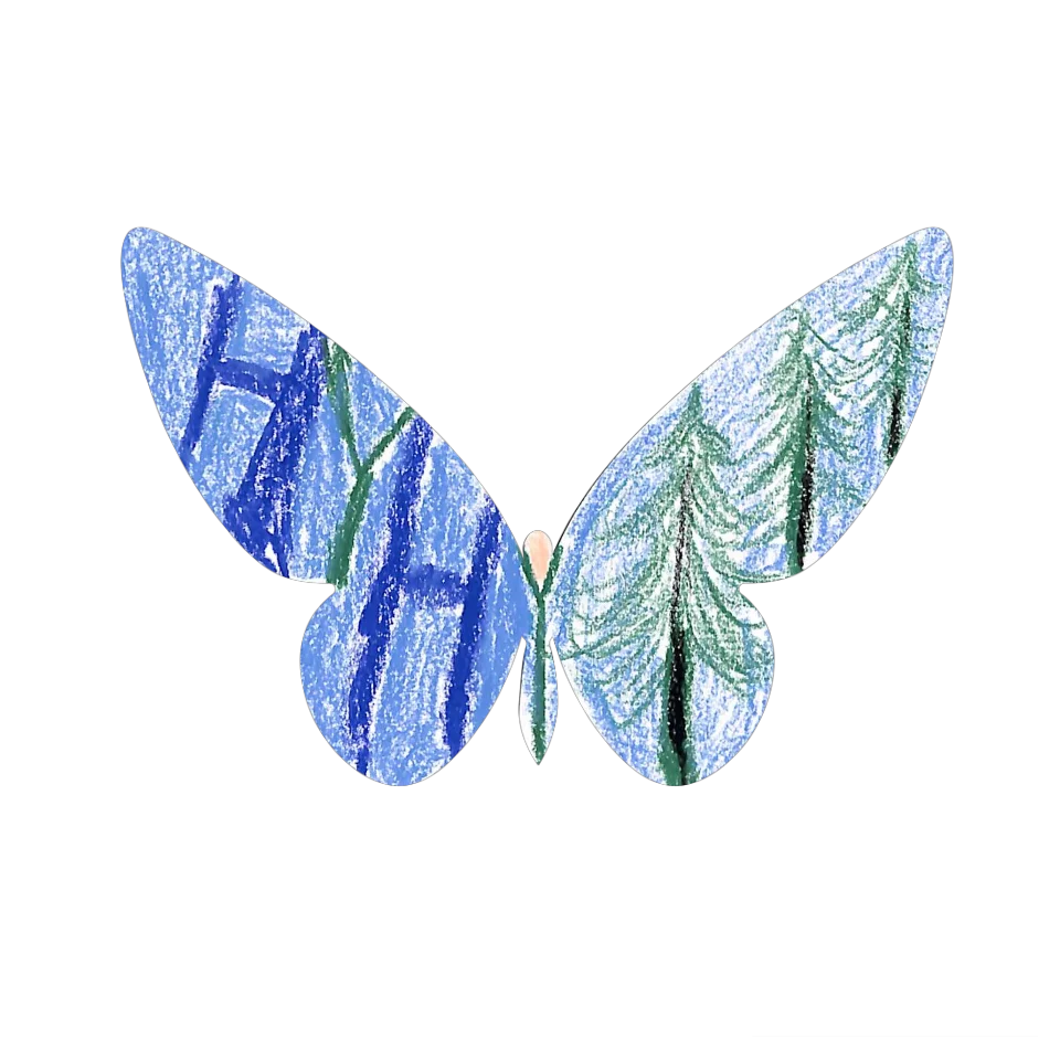 Original Butterfly Image