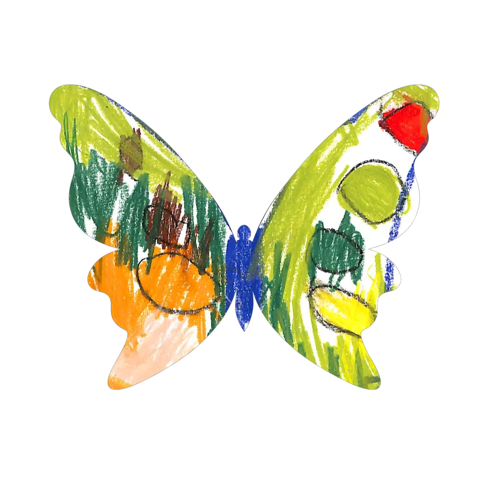 Original Butterfly Image