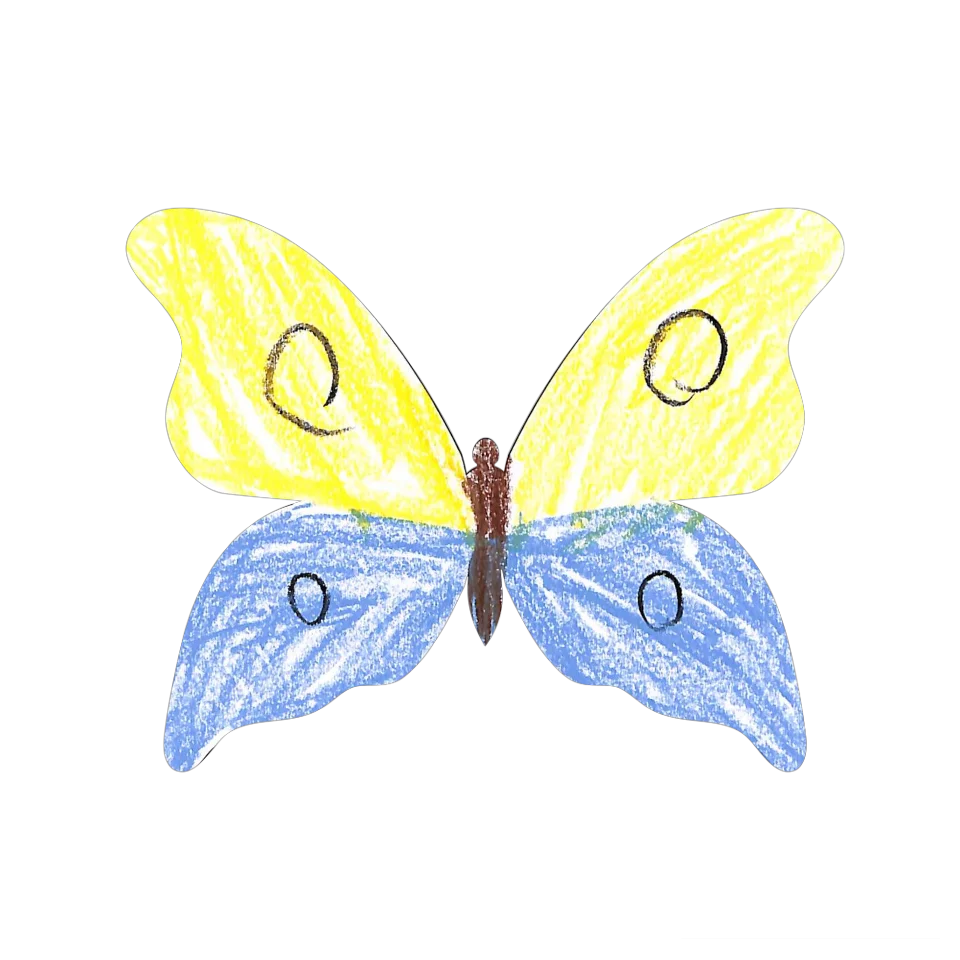 Original Butterfly Image