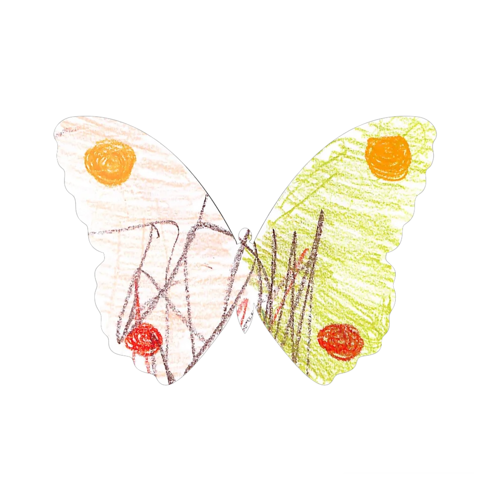 Original Butterfly Image