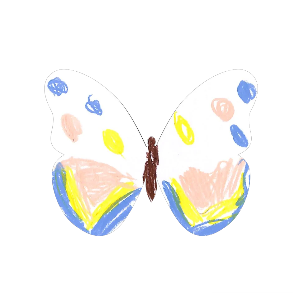 Original Butterfly Image