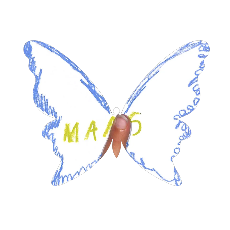 Original Butterfly Image