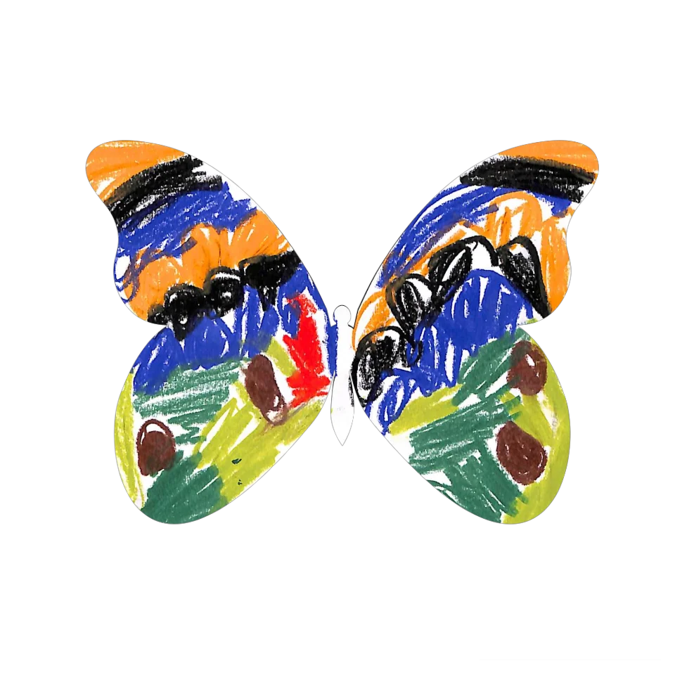 Original Butterfly Image