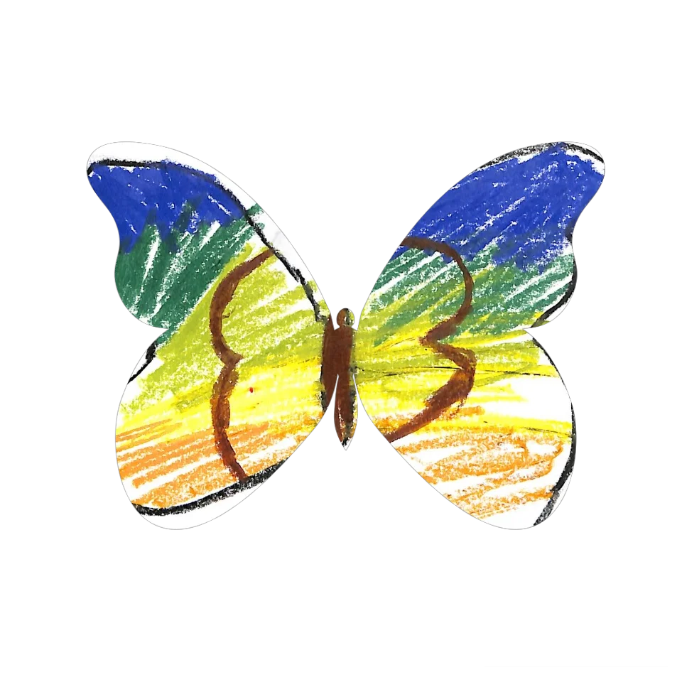 Original Butterfly Image