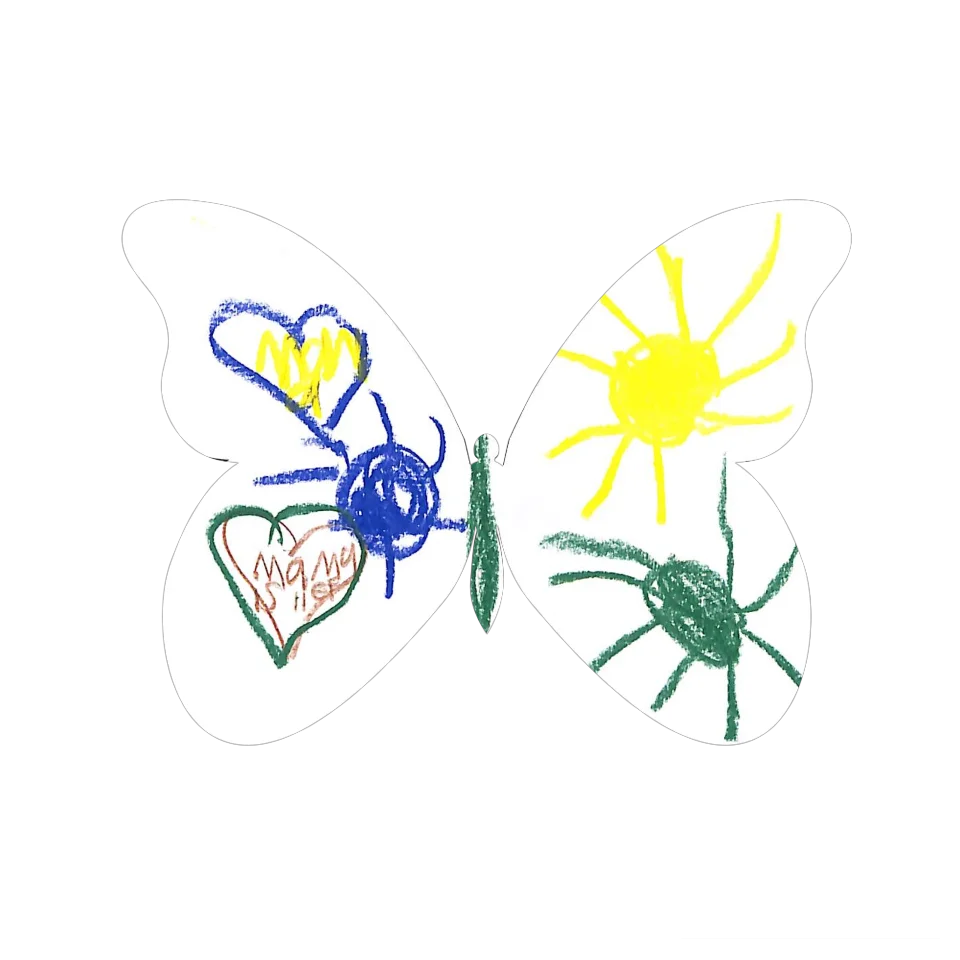 Original Butterfly Image