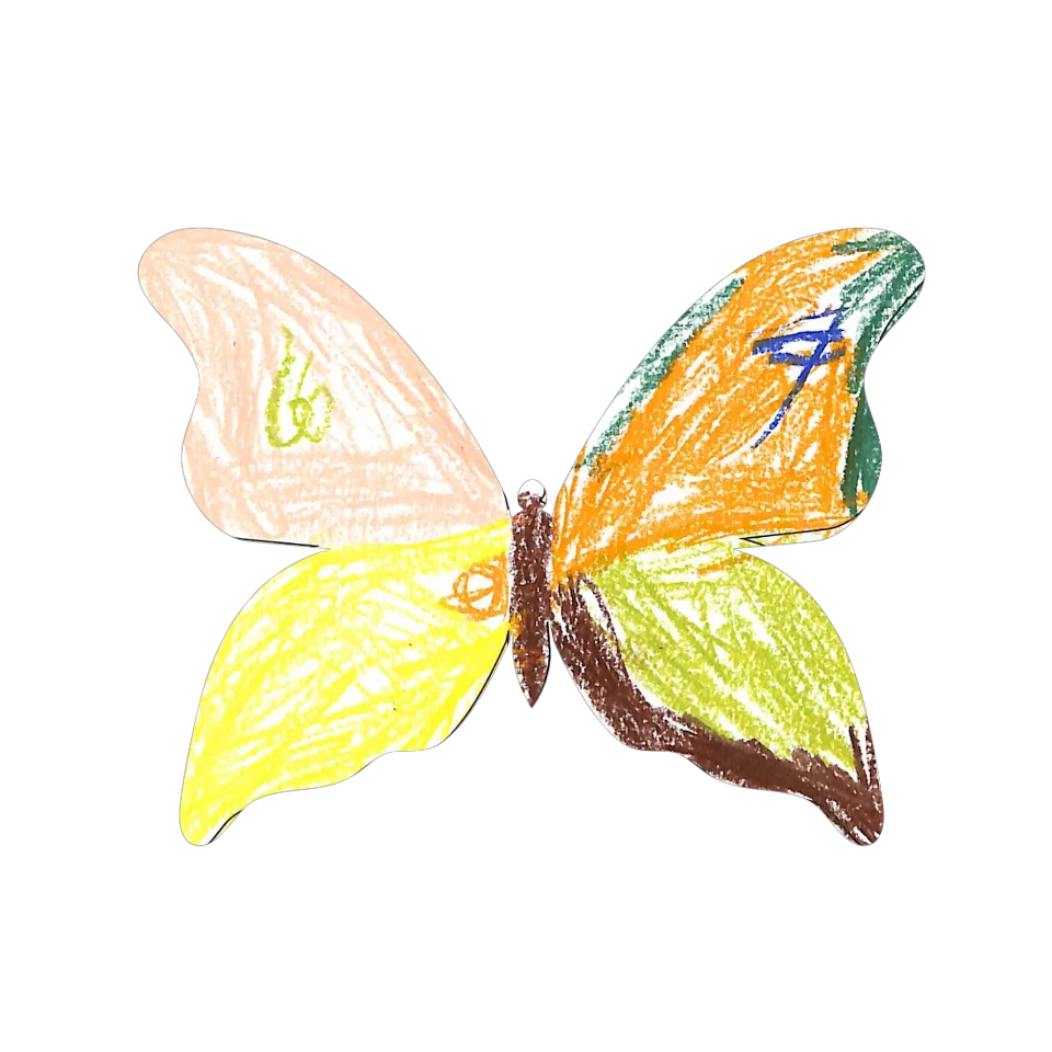 Original Butterfly Image