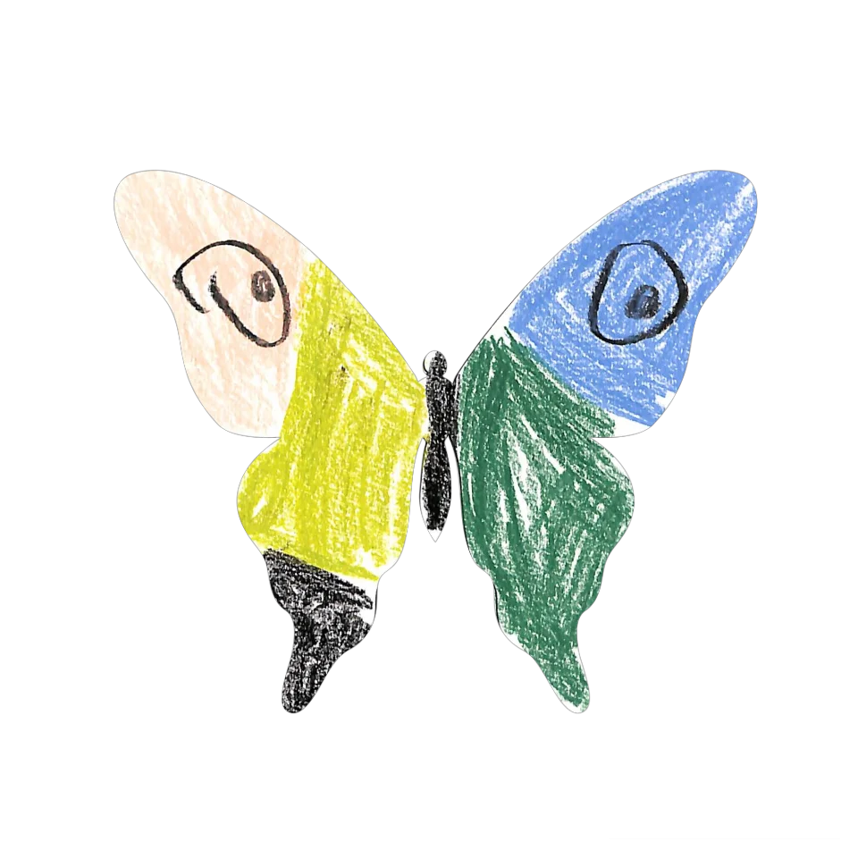 Original Butterfly Image