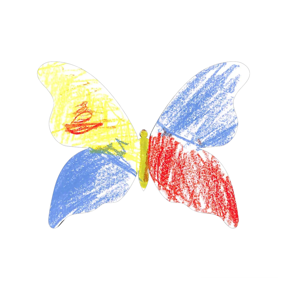 Original Butterfly Image