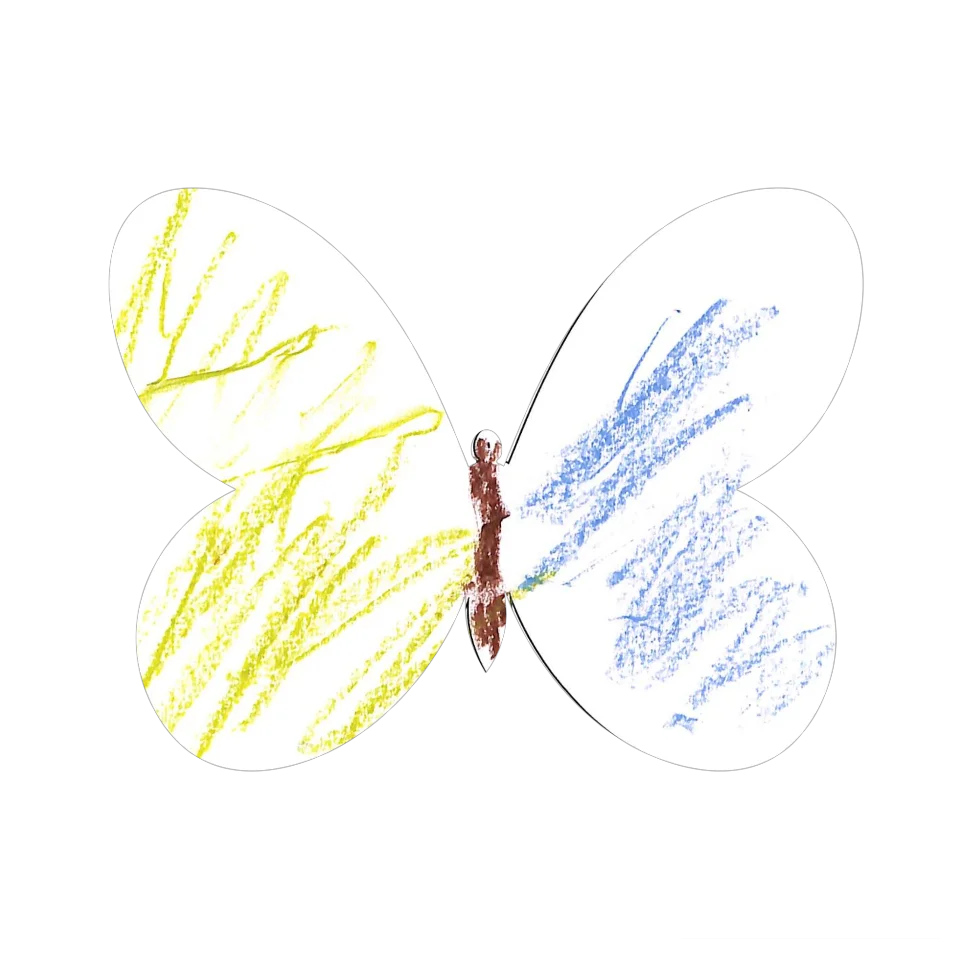 Original Butterfly Image