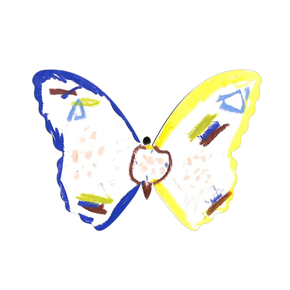 Original Butterfly Image