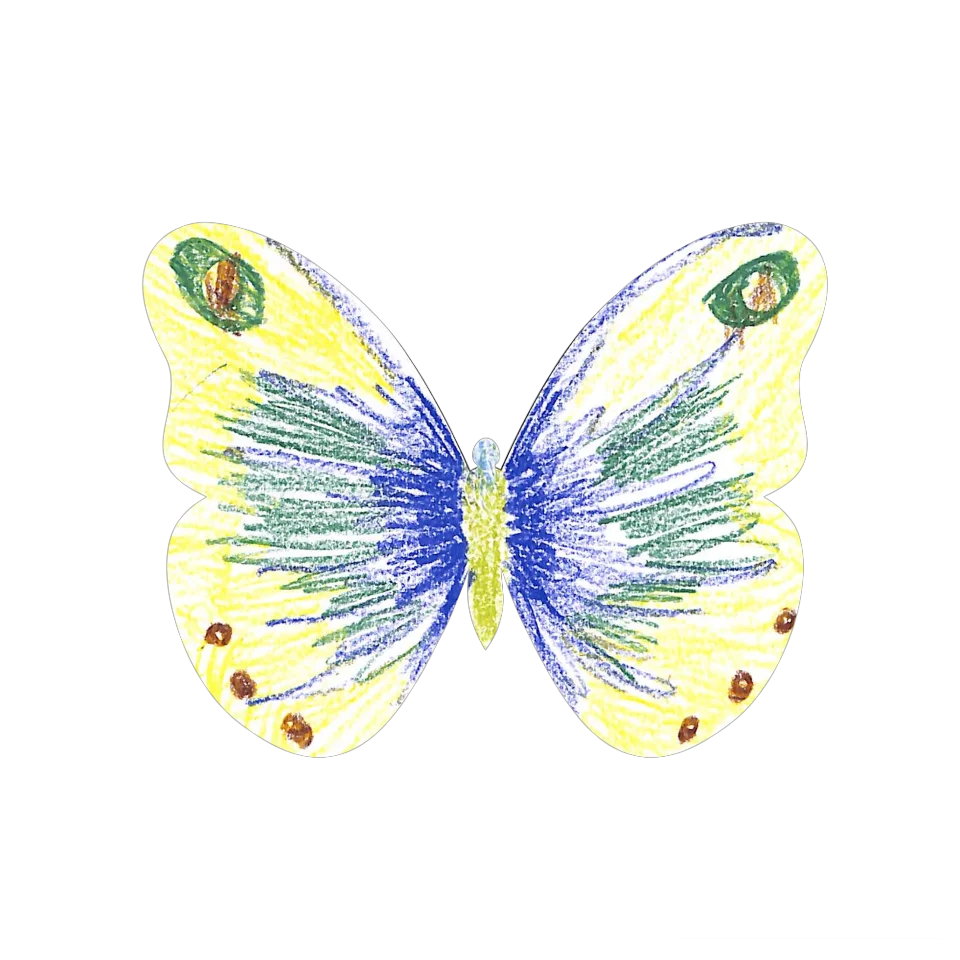 Original Butterfly Image