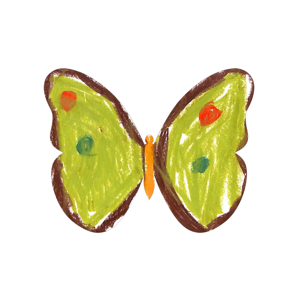 Original Butterfly Image
