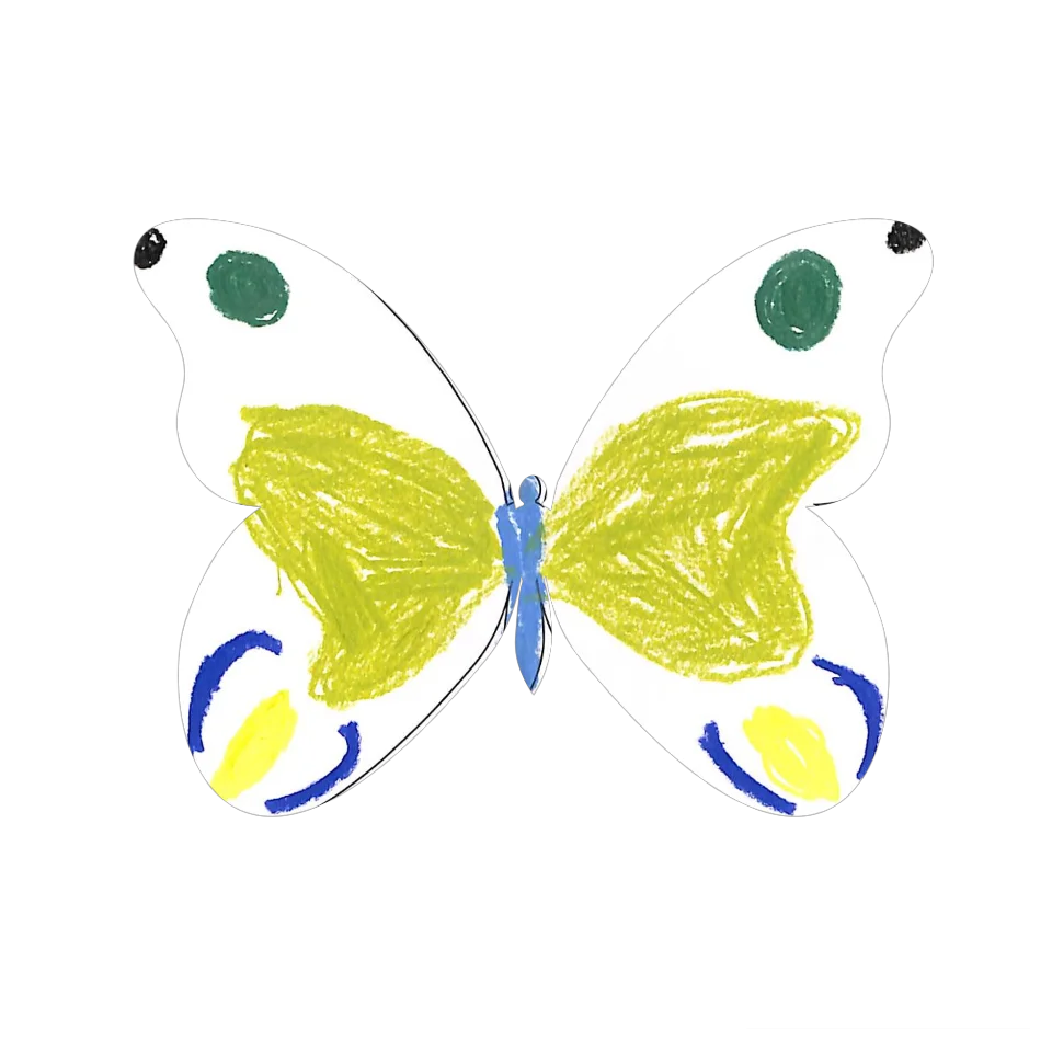 Original Butterfly Image